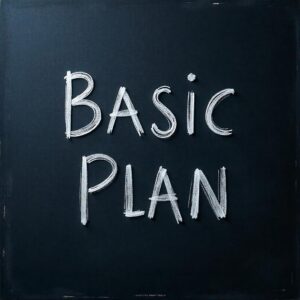 Basic Plan